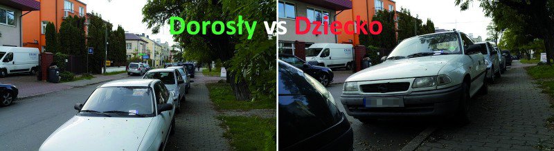 świat z perspektywy dorosłego i dziecka
