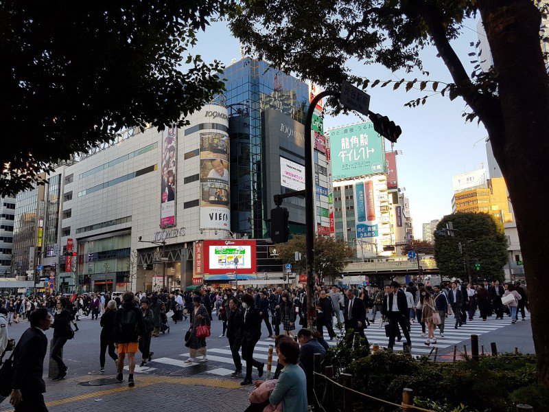 Japonia