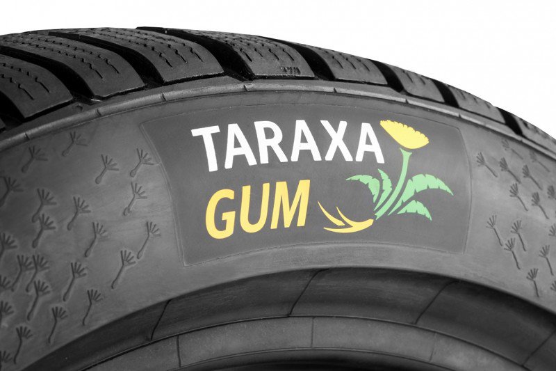 opona Taraxa Gum